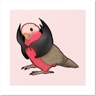 Vampire Galah Posters and Art